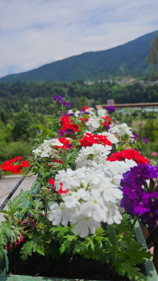 Appartamento Tulipano 안달로 외부 사진
